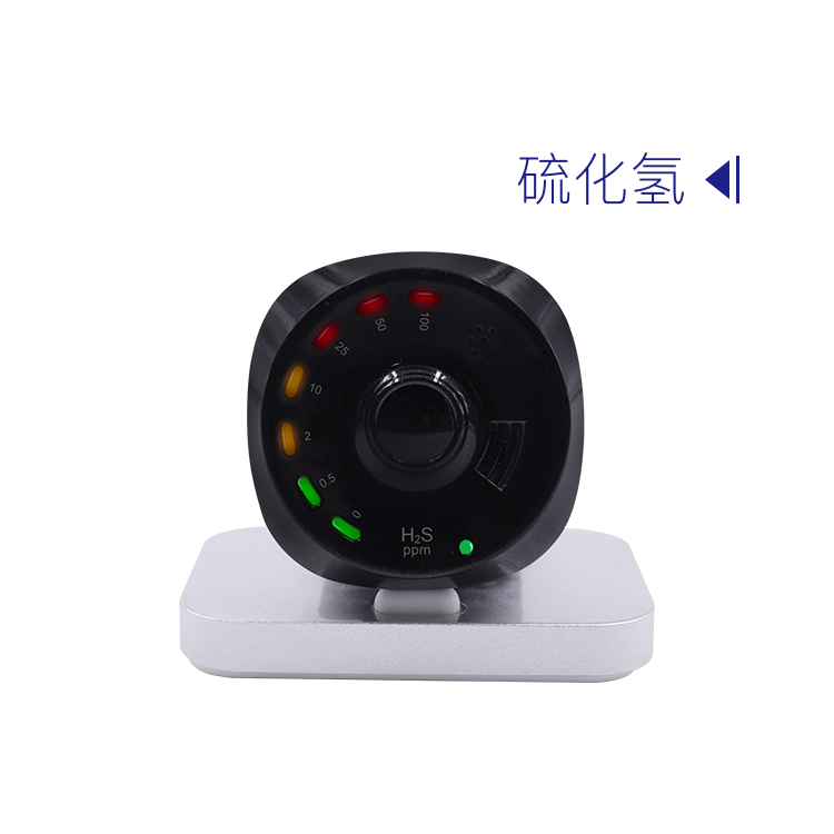 ECnose 硫化氢监测仪