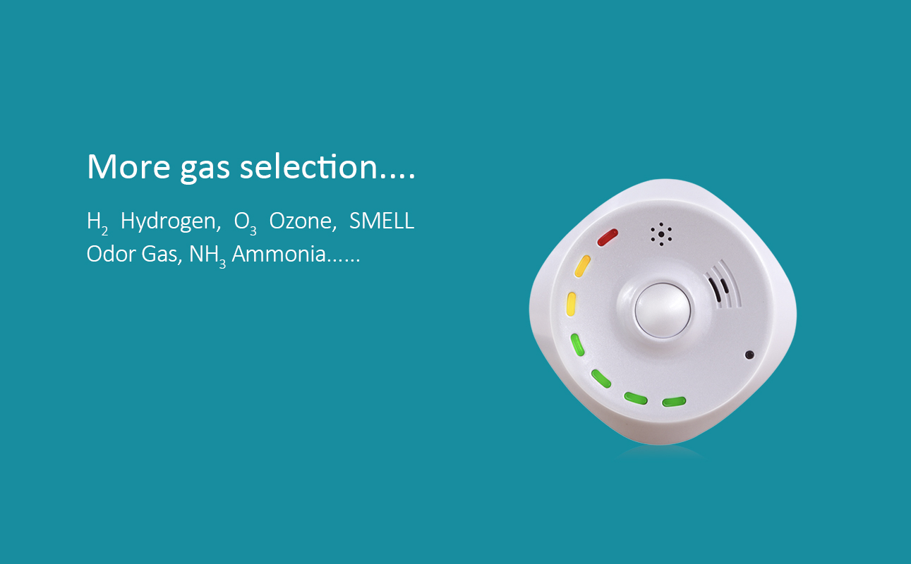 ECnose More Gas Selection